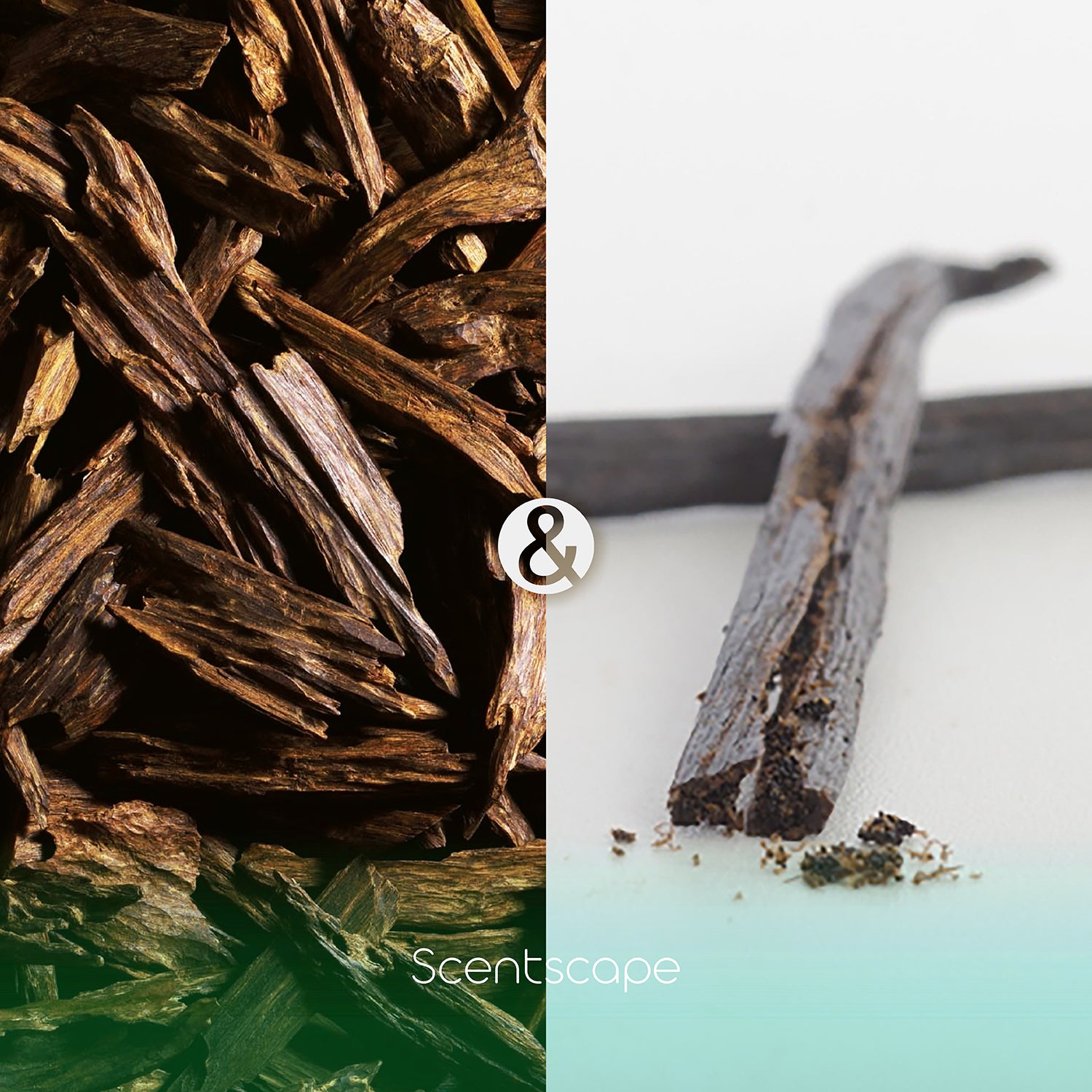 Nippon Kodo Saintscape 30 Pieces