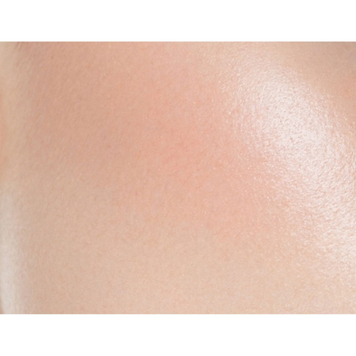 Noevir Speciale Cheek