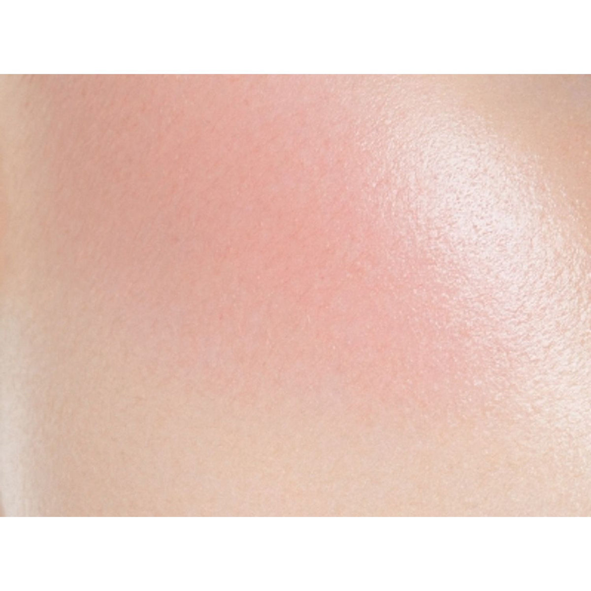 Noevir Speciale Cheek