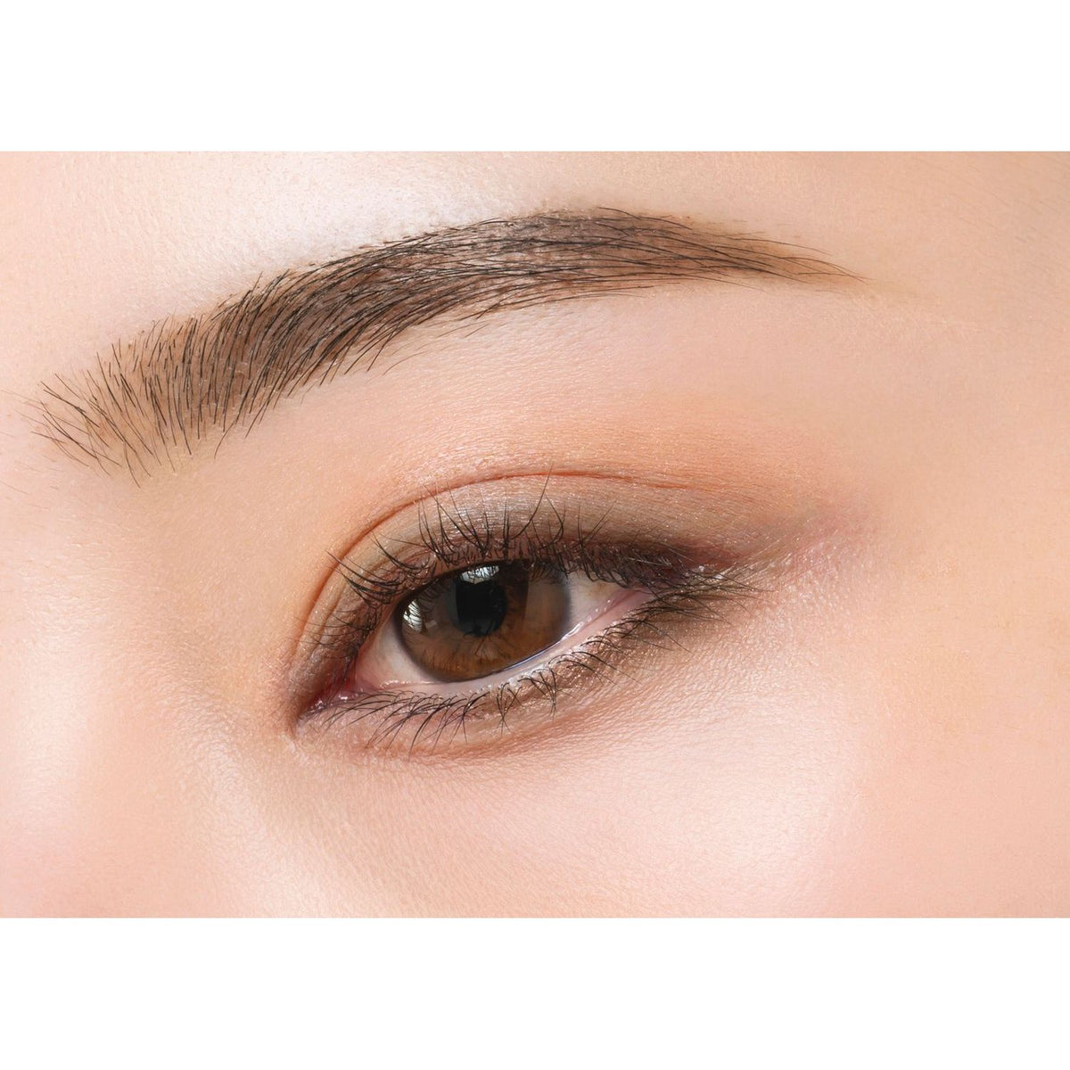 Noevir Speciale Eye Color