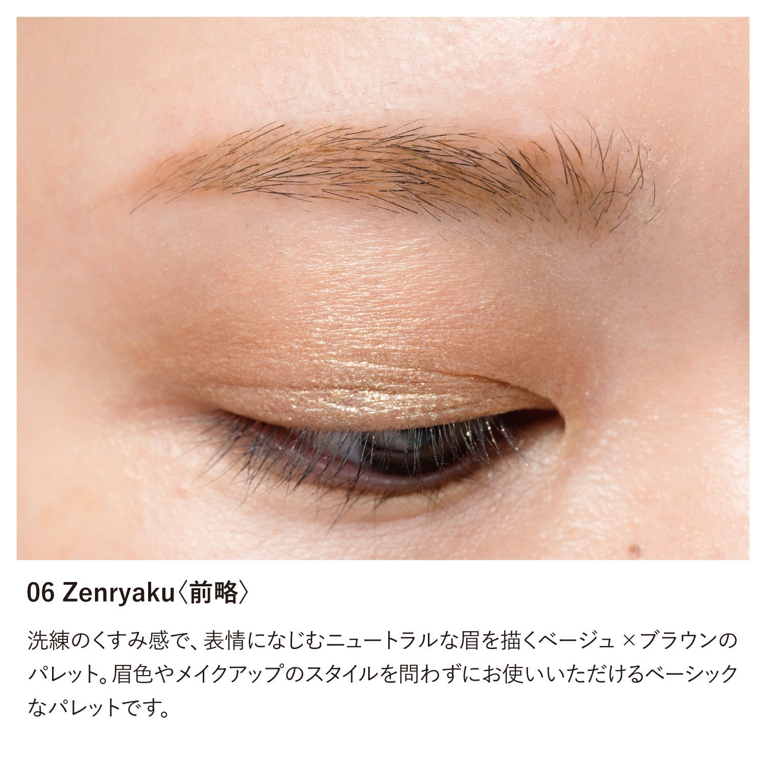 Osaji Eyebrow Palette 2026 Autumn