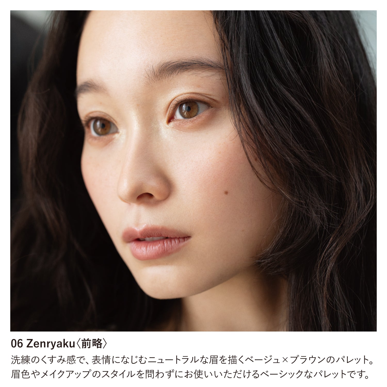 Osaji Eyebrow Palette 2026 Autumn