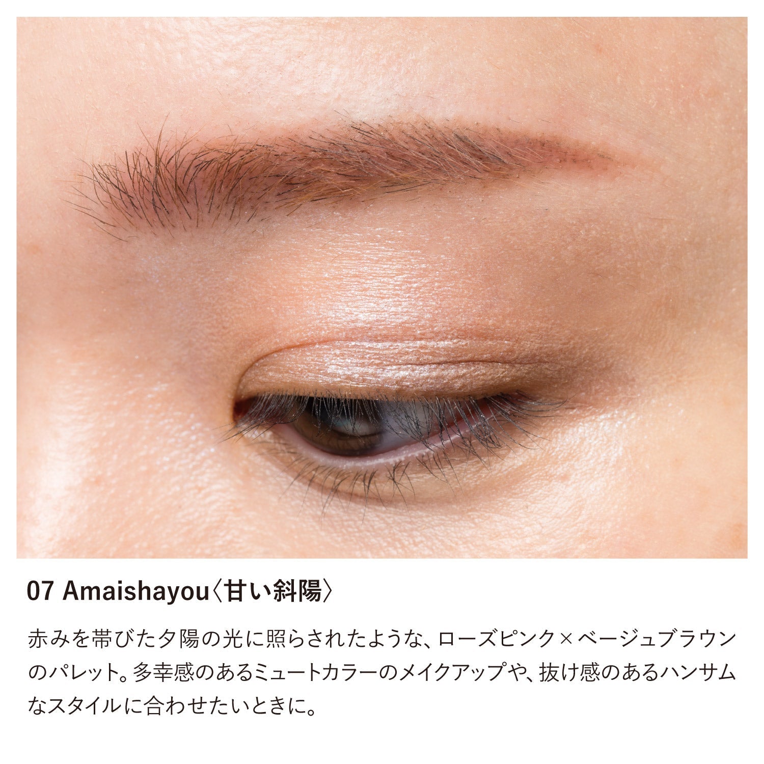 Osaji Eyebrow Palette 2026 Autumn
