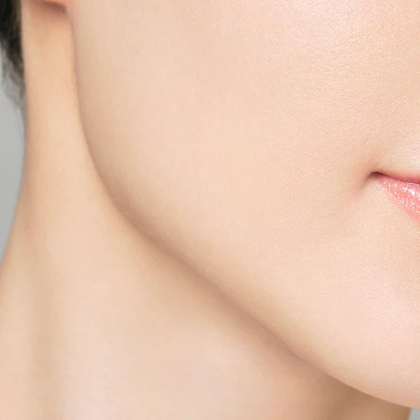 Paul&amp;Joe Face Color Shading