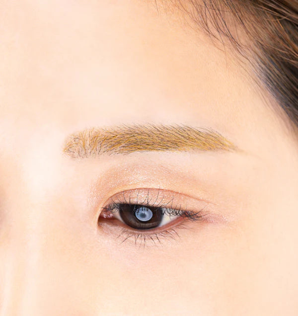 Paul &amp; Joe Eyebrow Mascara