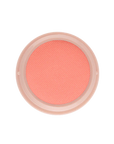 Paul & Joe Gel Blush