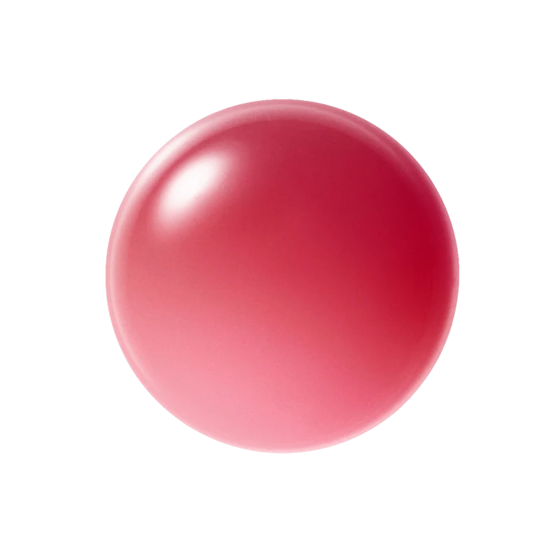 Paul &amp; Joe Glossy Rouge