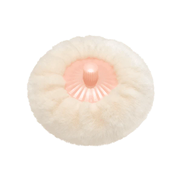 Paul &amp; Joe Loose Face Powder