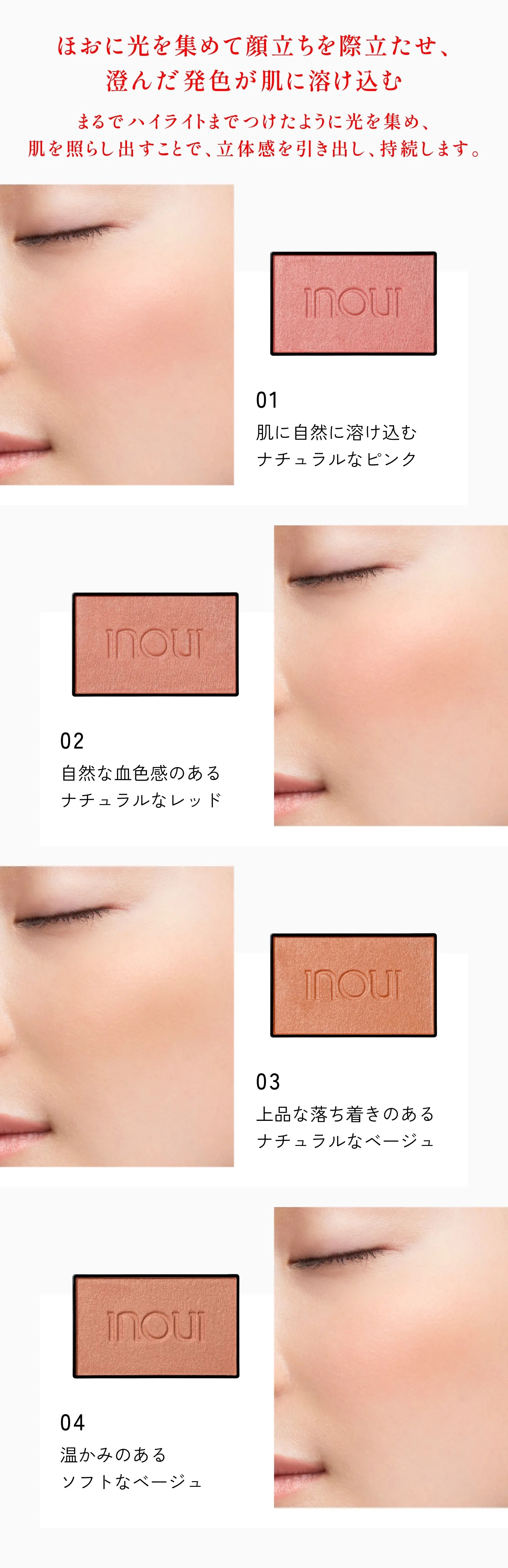Shiseido Inoui Cheek