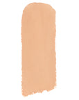 Shiseido Inoui Concealer Stick