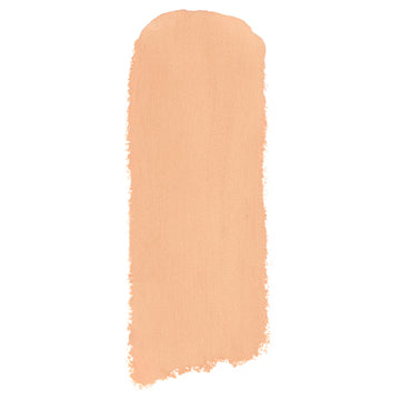 Shiseido Inoui Concealer Stick