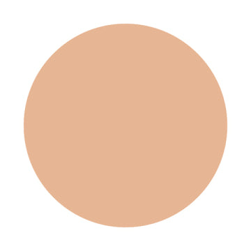 Shiseido Inoui Liquid Foundation