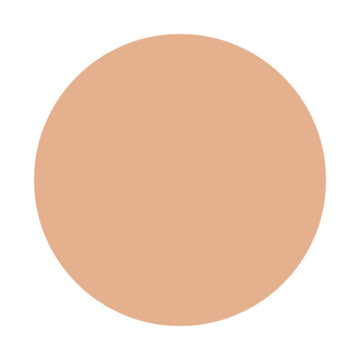 Shiseido Inoui Liquid Foundation