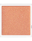 Shiseido Majoscope Shadow