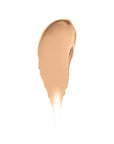 Shiseido Synchro Skin Radiant Lifting Concealer