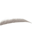 Shu Uemura Hard Formula Hard 10