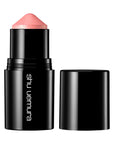 Shu Uemura Sculpt Crayons