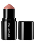 Shu Uemura Sculpt Crayons