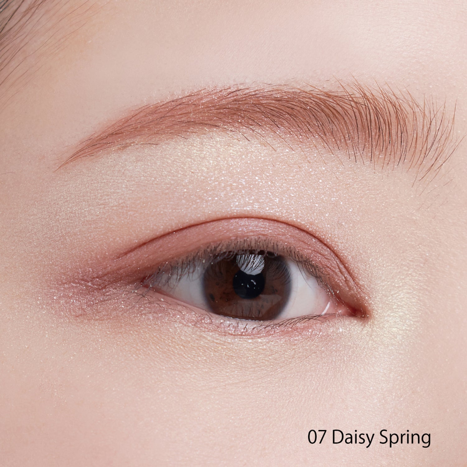 Snidel Beauty Tailored Color Eyes 2024 Spring