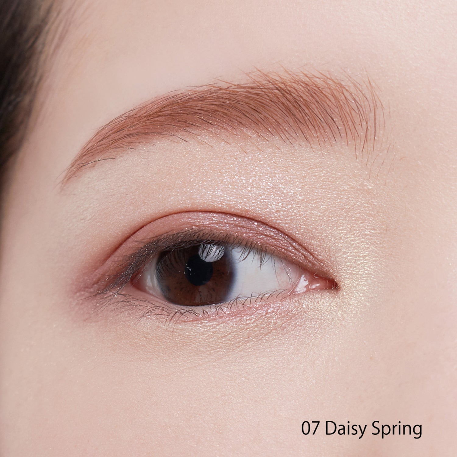 Snidel Beauty Tailored Color Eyes 2024 Spring