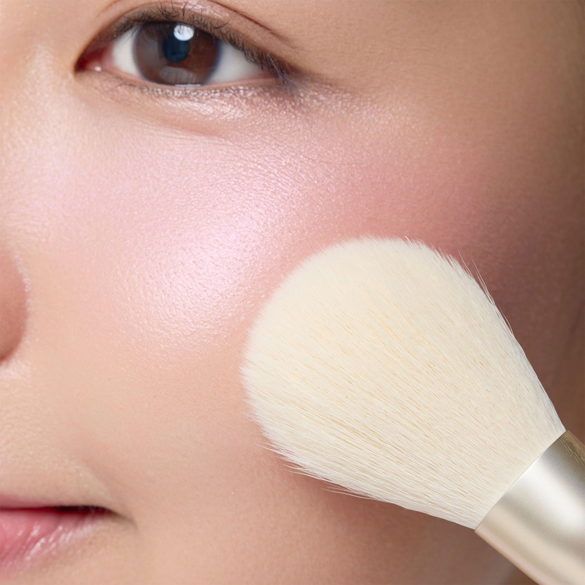 Snidel Beauty x Steiff Brush Kit ST Limited Edition