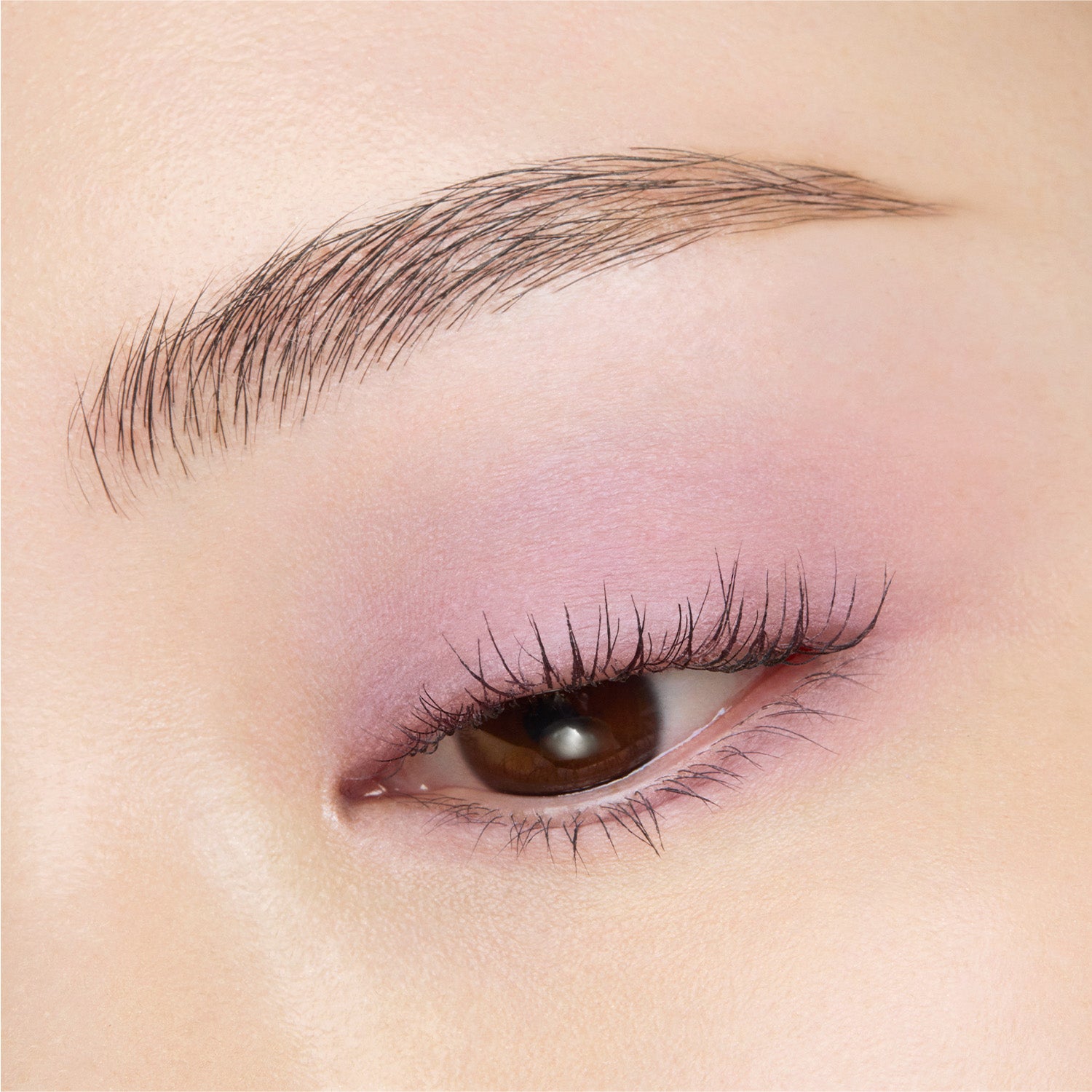 Suqqu Mono Look Eyes 2026 Autumn Collection