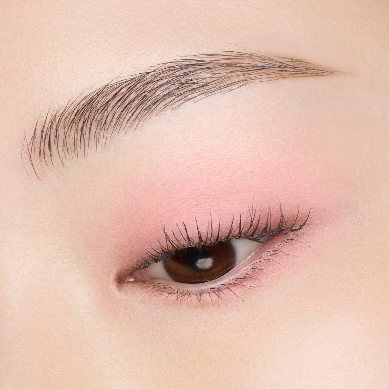 Suqqu Mono Look Eyes 2026 Autumn Collection