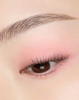 Suqqu Mono Look Eyes 2026 Autumn Collection