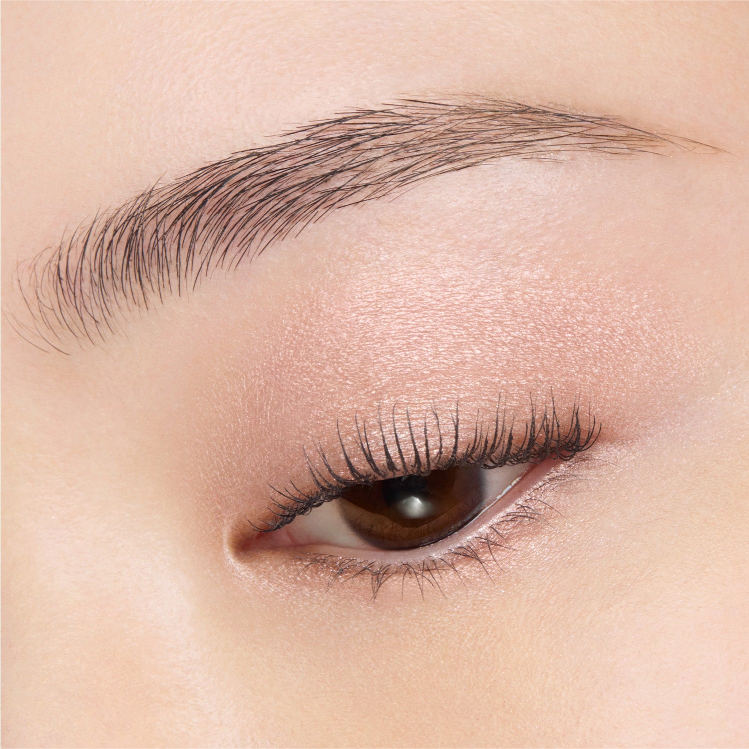 Suqqu Mono Look Eyes 2026 Autumn Collection
