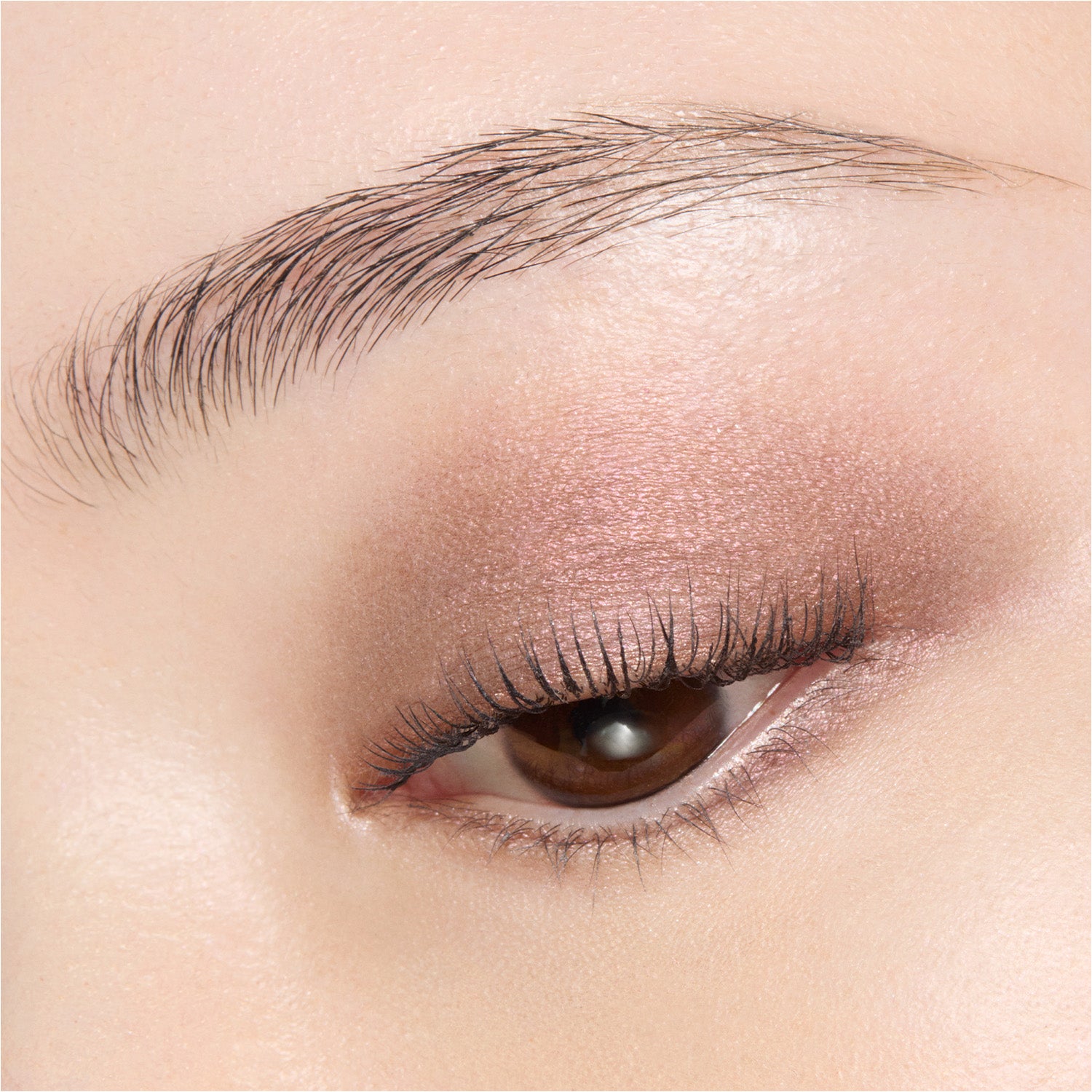 Suqqu Mono Look Eyes 2026 Autumn Collection