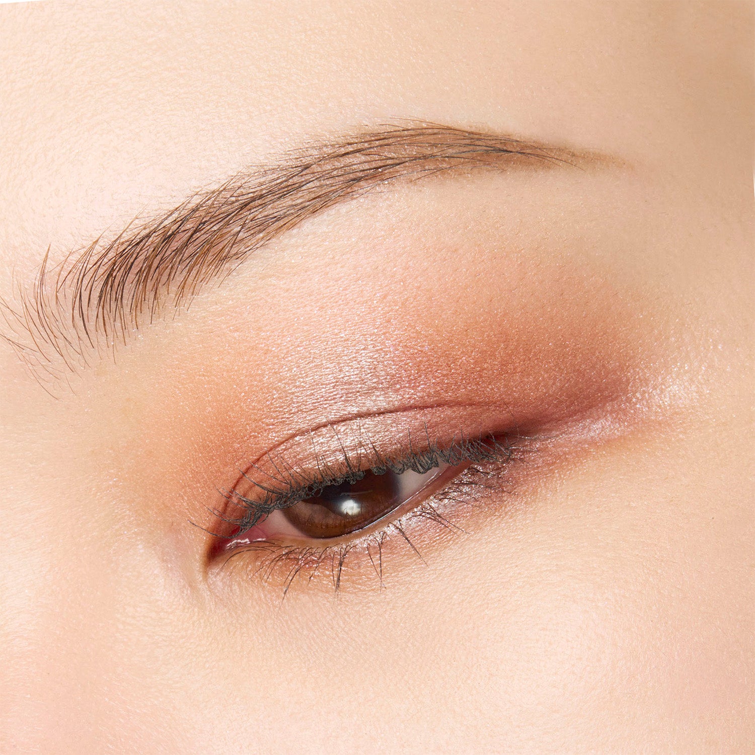 Suqqu Mono Look Eyes