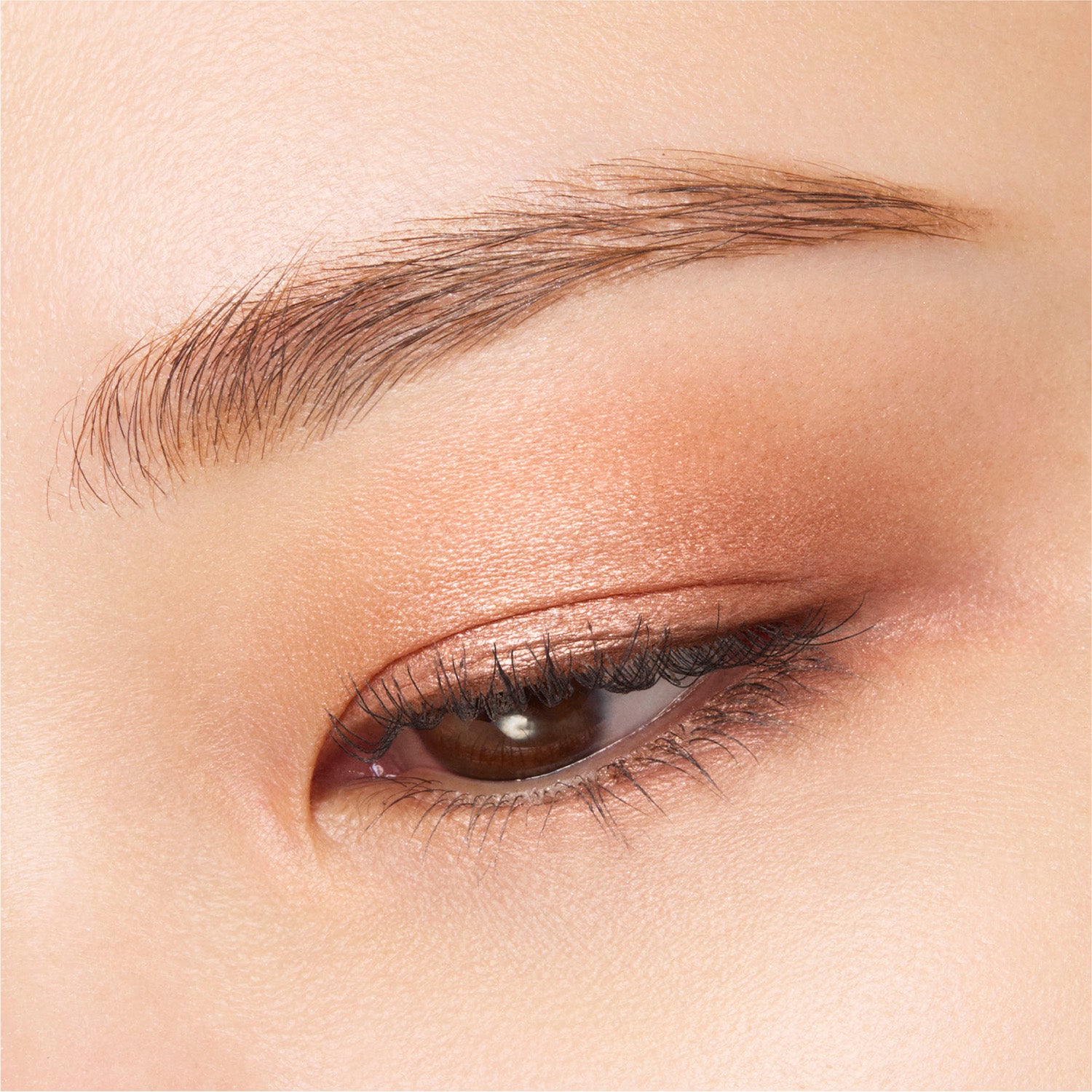 Suqqu Mono Look Eyes