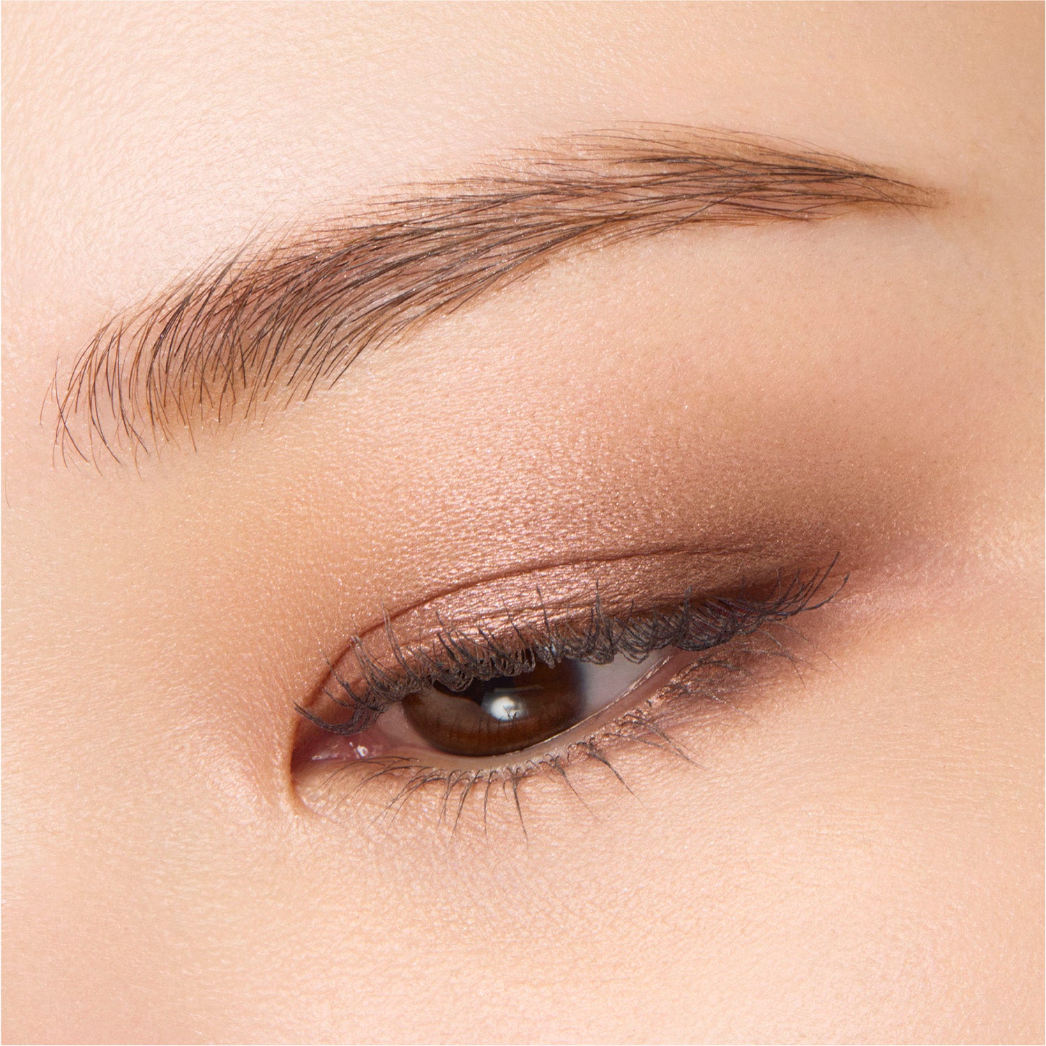 Suqqu Mono Look Eyes