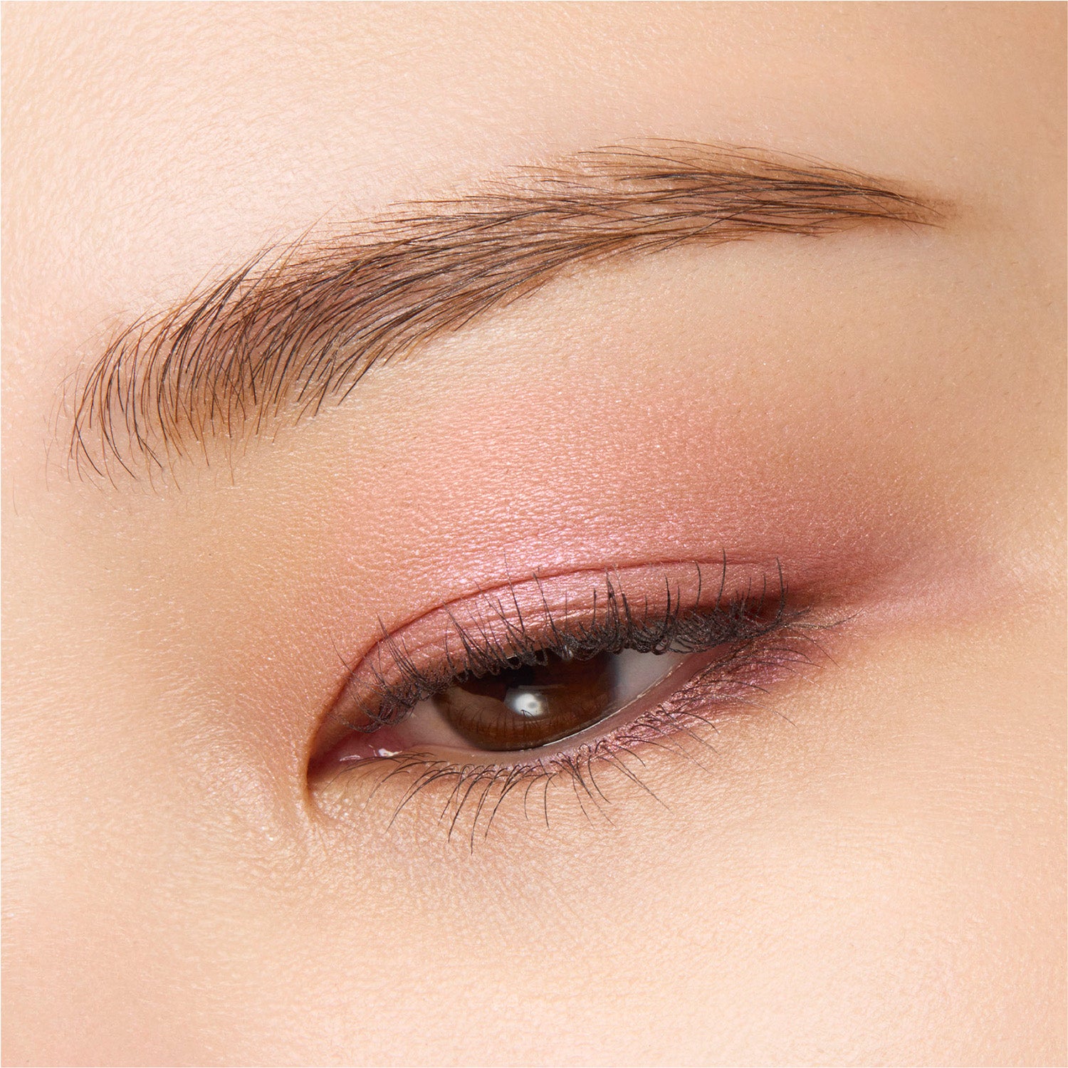 Suqqu Mono Look Eyes