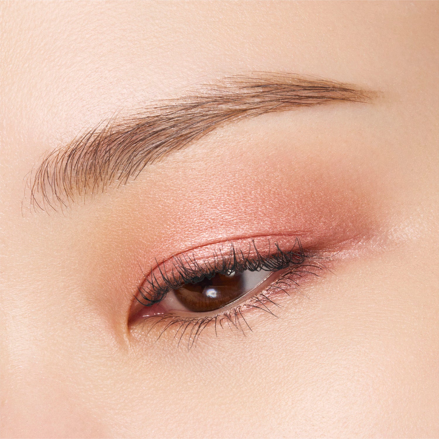 Suqqu Mono Look Eyes