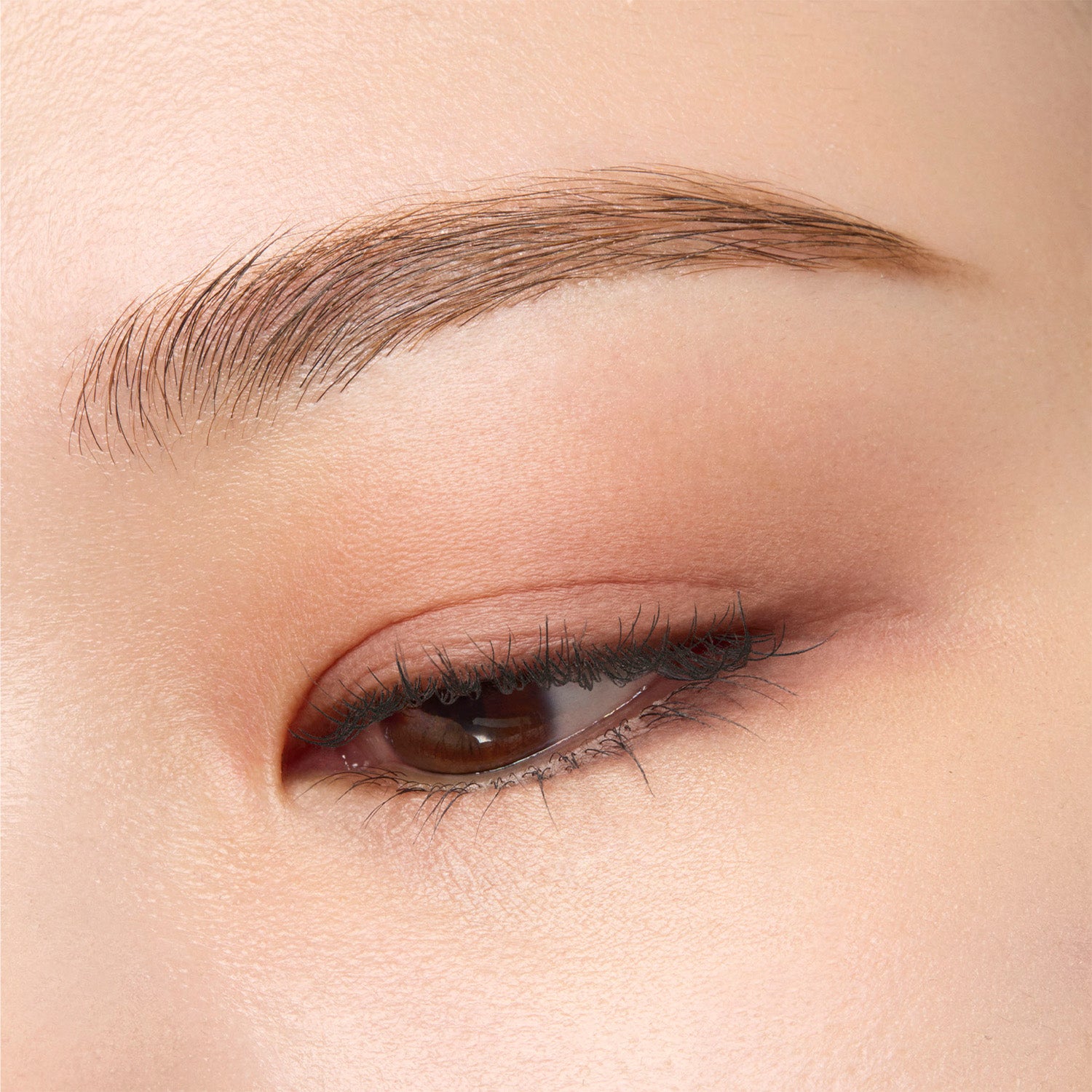 Suqqu Mono Look Eyes