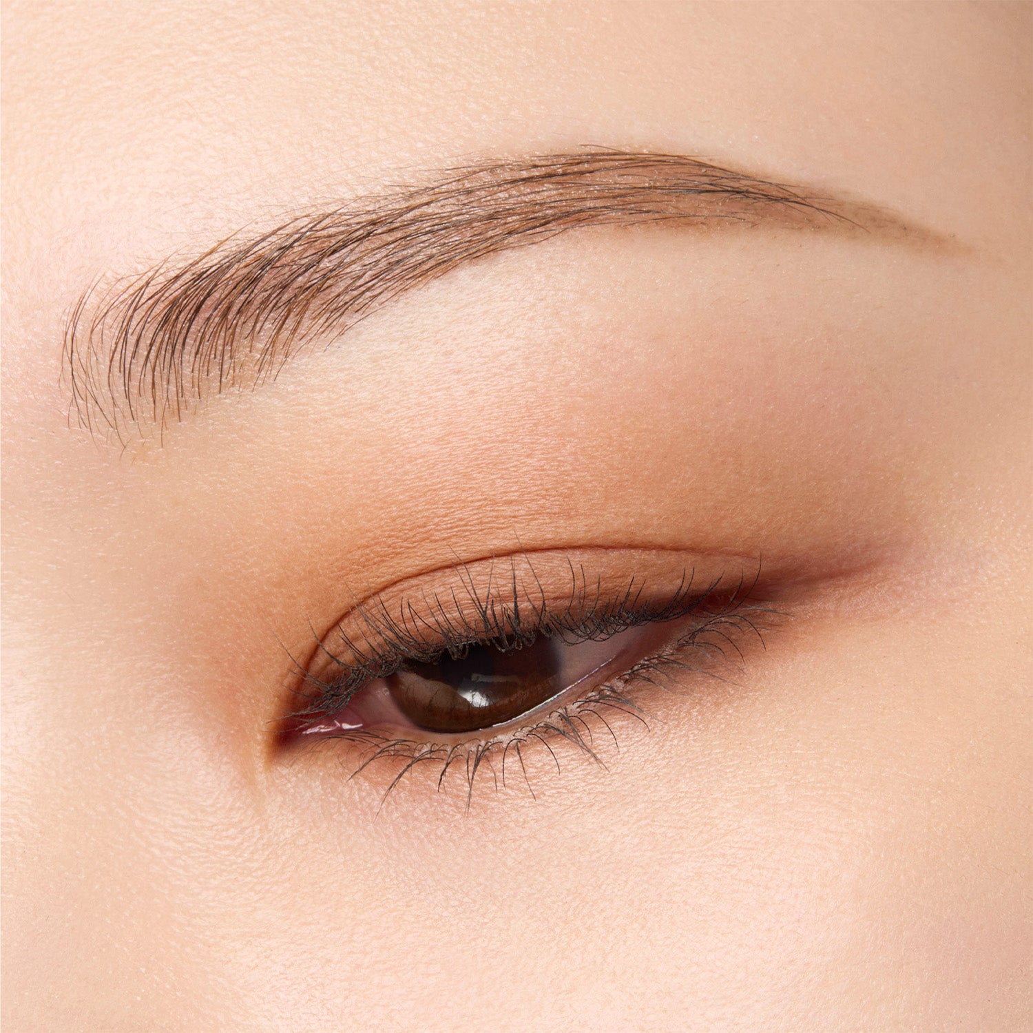 Suqqu Mono Look Eyes