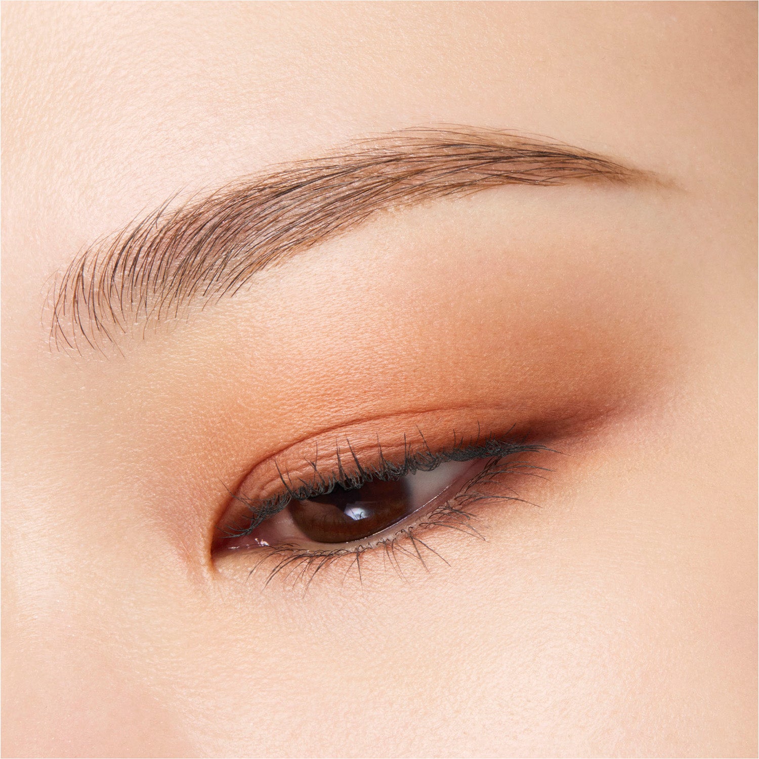 Suqqu Mono Look Eyes