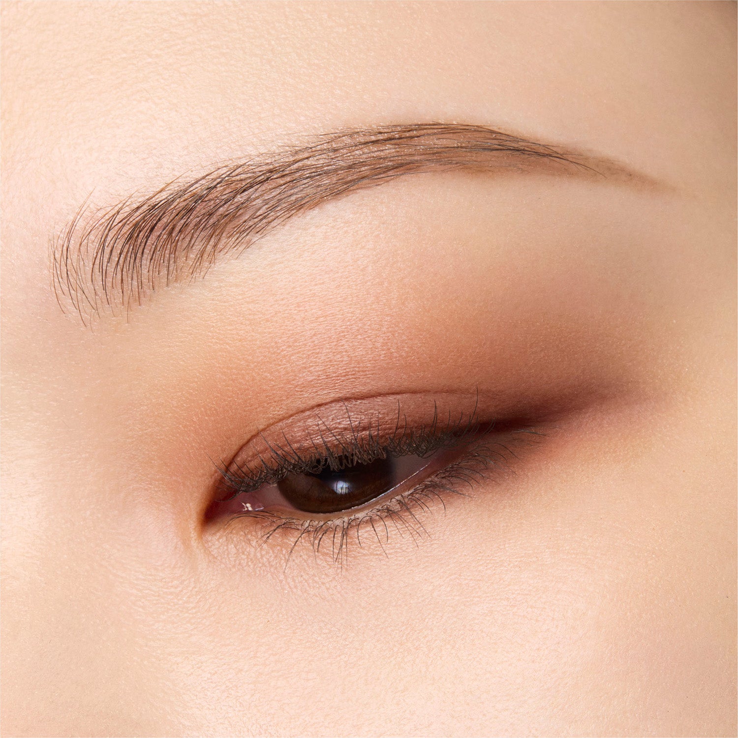 Suqqu Mono Look Eyes