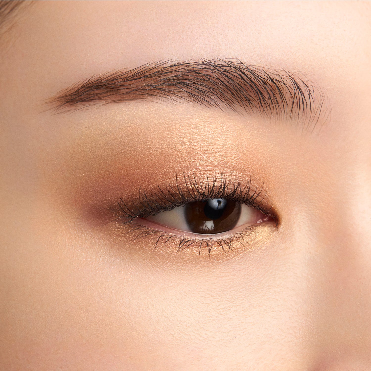 Suqqu Signature Color Eyes