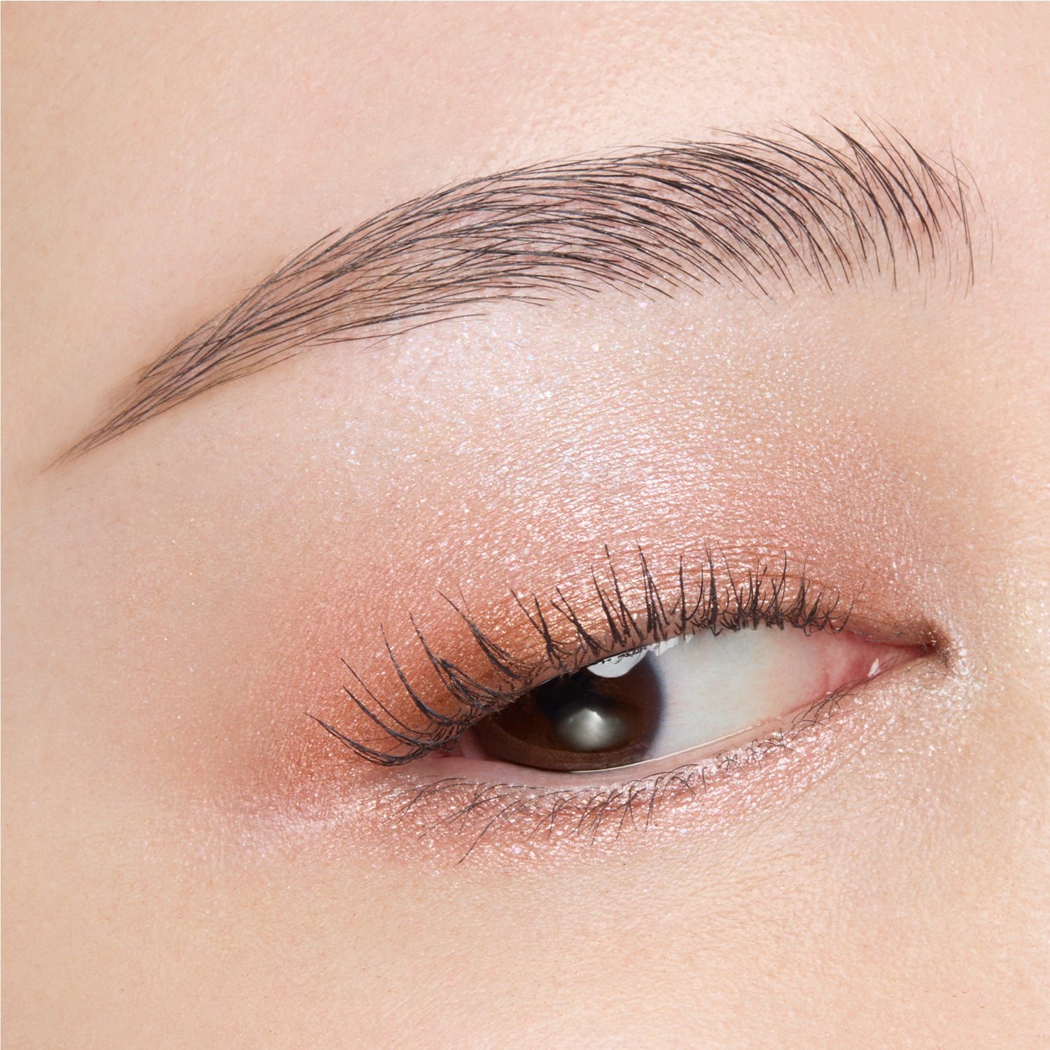 Suqqu Signature Color Eyes 156 Kiramekimitashi 2026 Autumn Collection