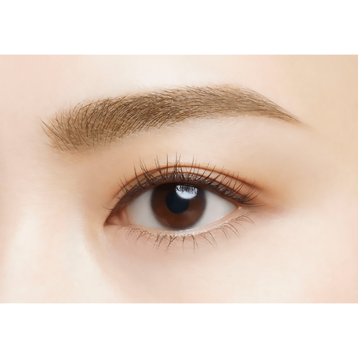 Visee Eyebrow Sword Pencil &amp; Powder