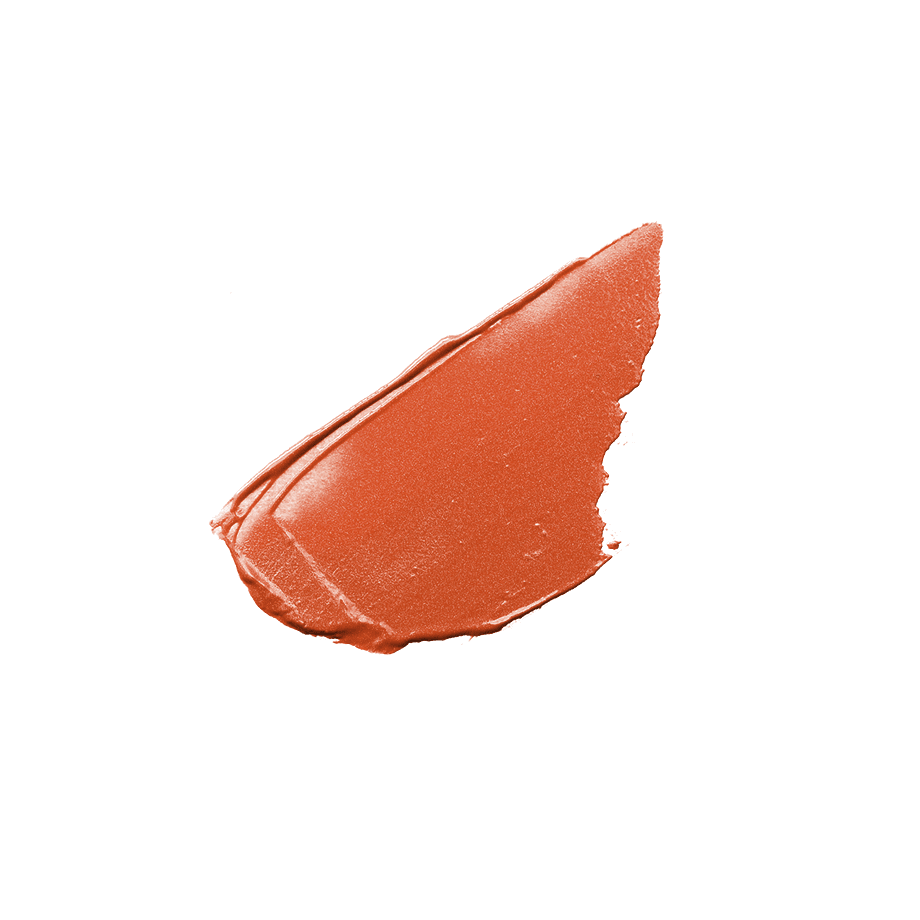 Cezanne Lip Color Shield