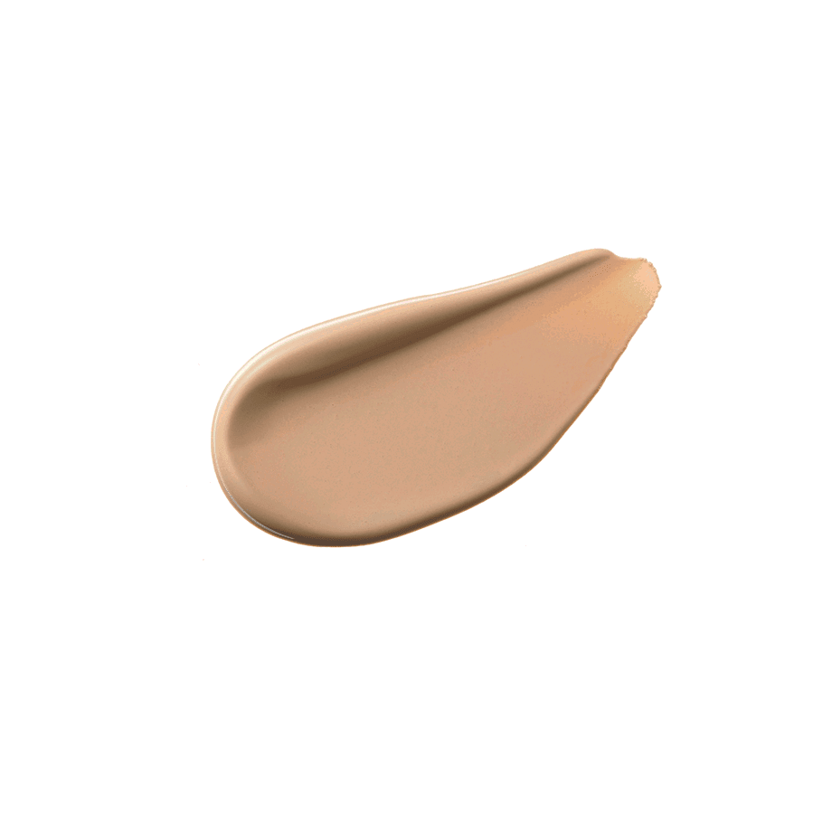 Cezanne Stretch Cover Concealer