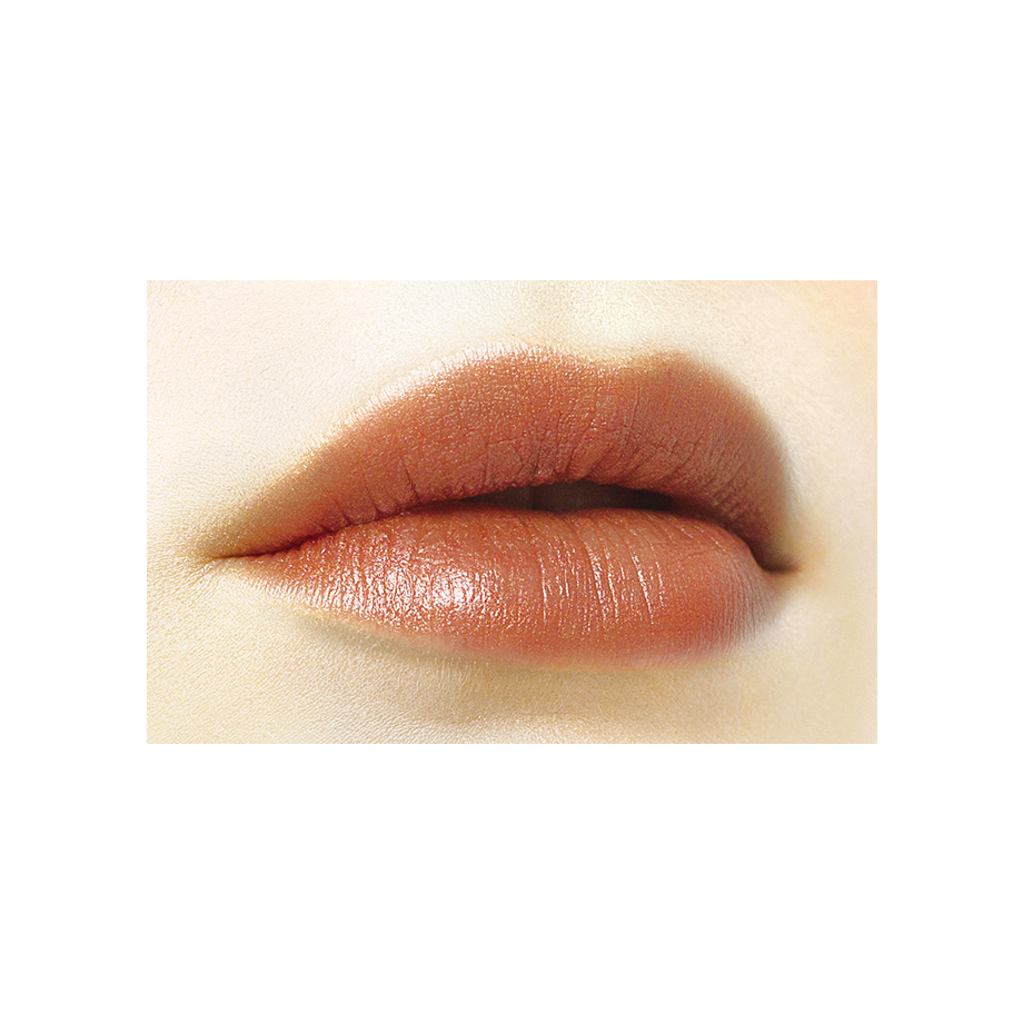 Cezanne Lip Color Shield