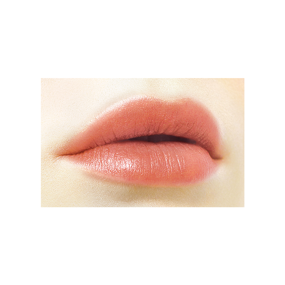 Cezanne Lip Color Shield