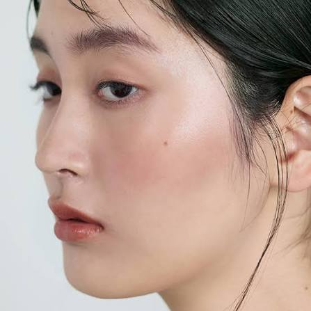 Osaji Nuance Cheek Fluid