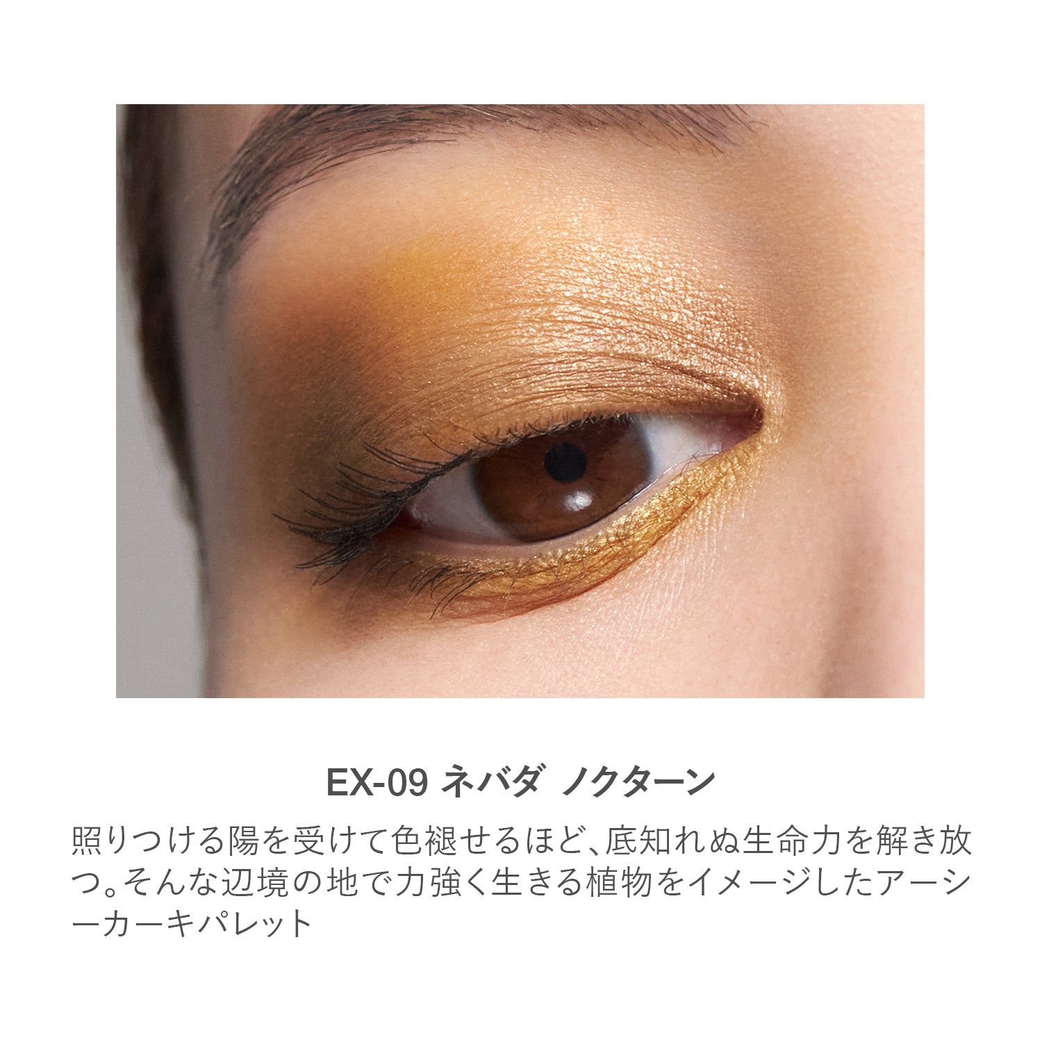 RMK Synchromatic Eyeshadow Palette (2024 AW)