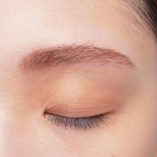 Celvoke Indicate Eyebrow Powder 08 - Ichiban Mart