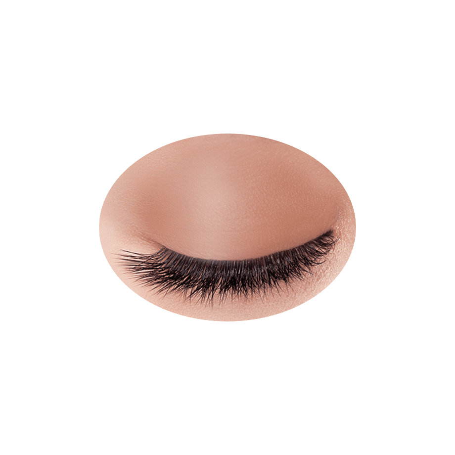 Cezanne Single Color Eyeshadow – Ichiban Mart